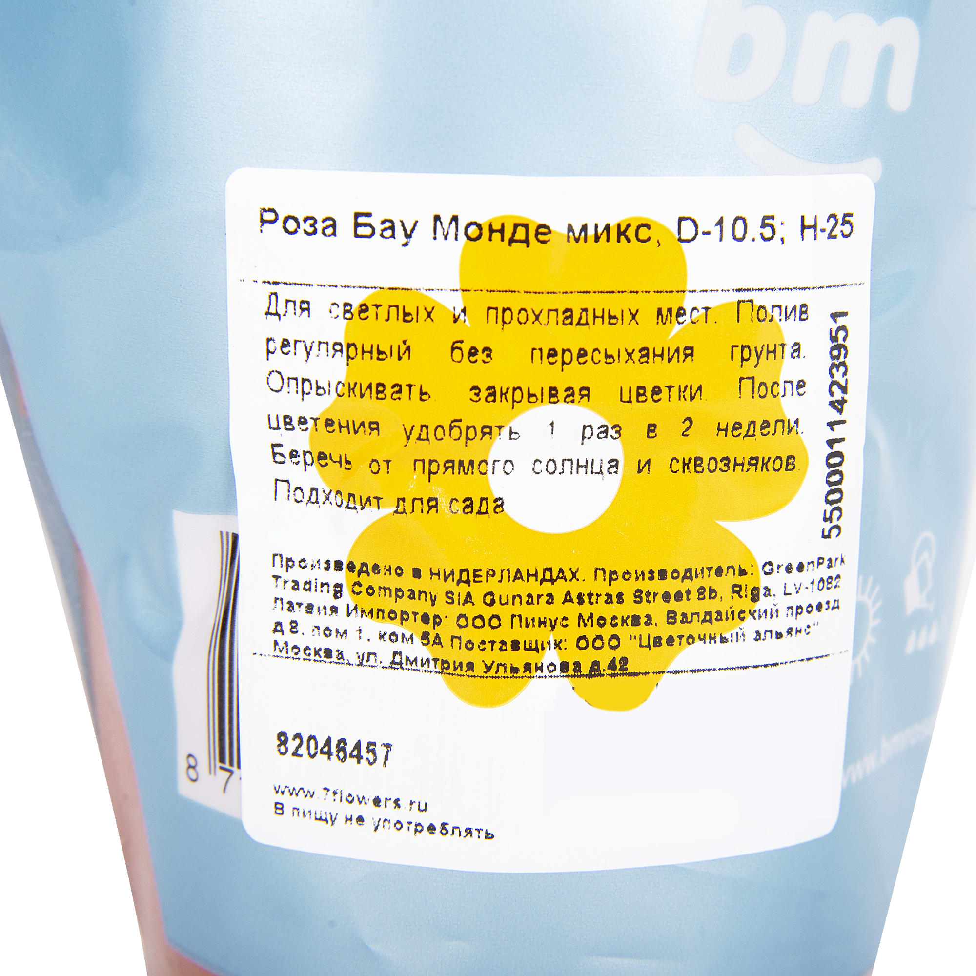 82046457 Роза «Бау Монде» микс Santreyd  - Вид №4
