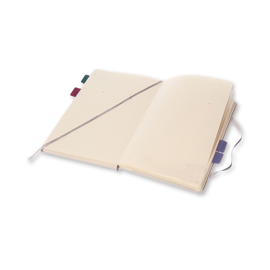 Блокнот Moleskine PROFESSIONAL LARGE, серый 396412 - Вид №3