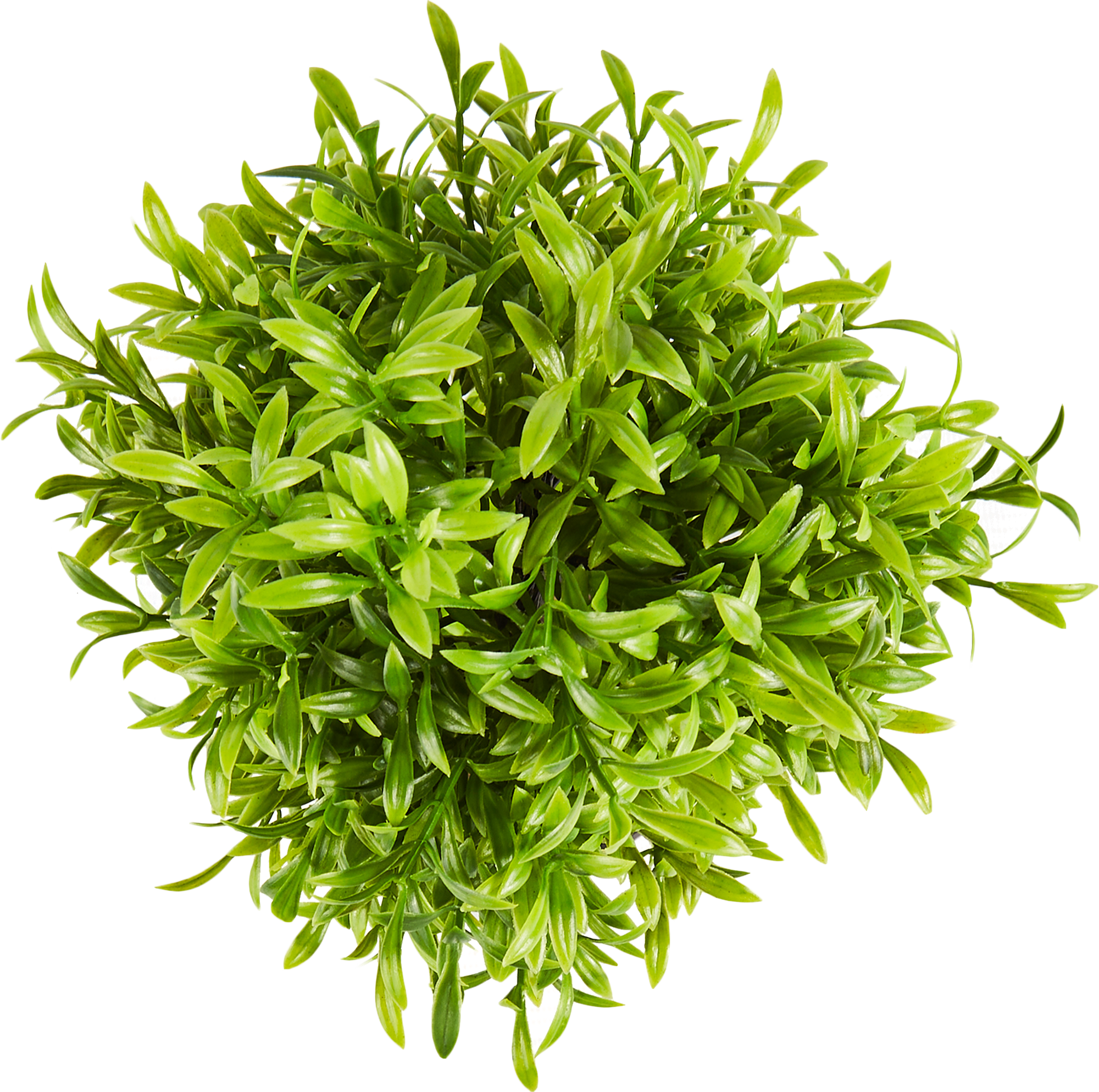 86762972 Искусственное растение в горшке Мирт ø12 h33 см STLM-0071439 Santreyd  - Вид №1