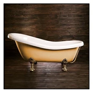 Ванна Akcjum Rectime 175 WR-01-05-BR-B овальная бежевая с золотыми ножками