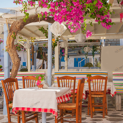 B1-016 Фотообои DIVINO Collection B 2.7х2 м B1016