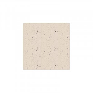 K77672000001VTE0  Vitraglobal PRO Function