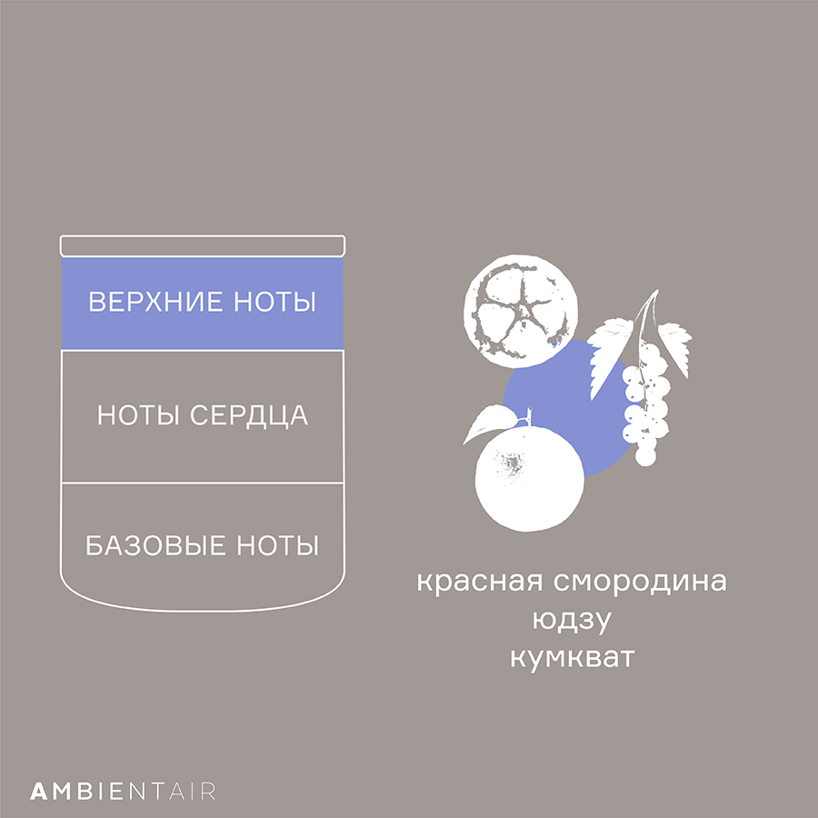 VV040CPHPA Свеча ароматическая sublime, Цитрусовый цвет, 40 ч Ambientair  - Вид №2