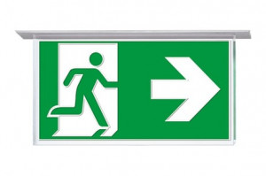 DST-2480 Virsc1608-m Daisalux Светильники сигнальные Серебристо-Серый