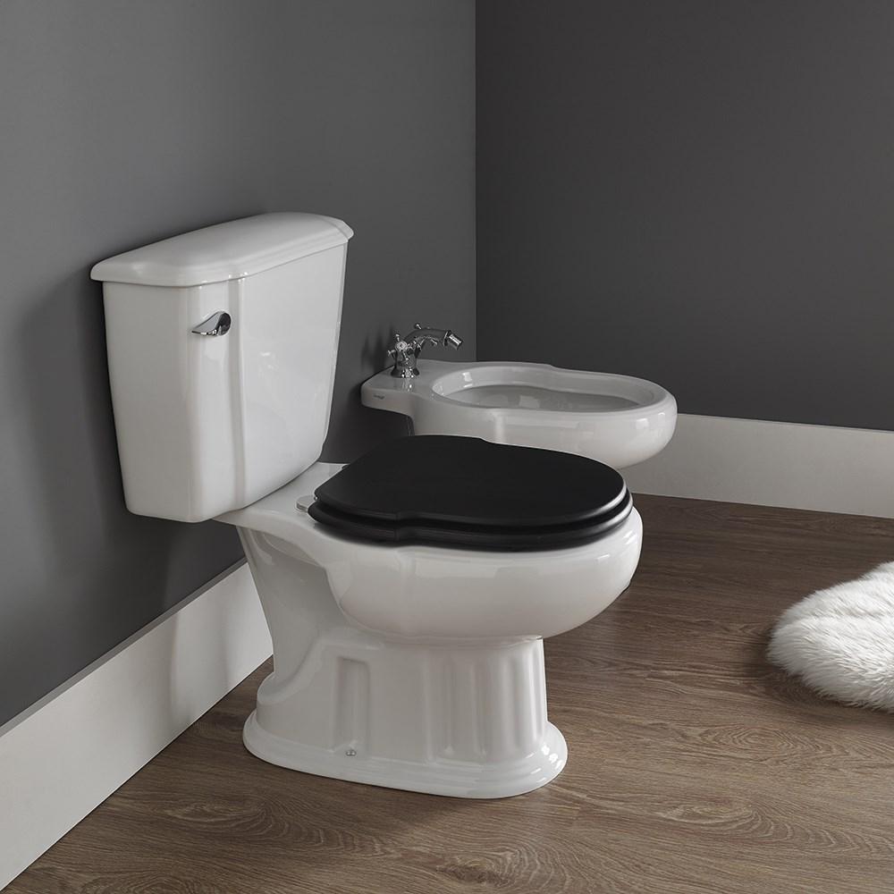 Набор Sanitana компакт GRECIA: чаша + сливной бачок + крышка фанера S10070223400000;S10070366800000;S80006820020100 - Вид №1