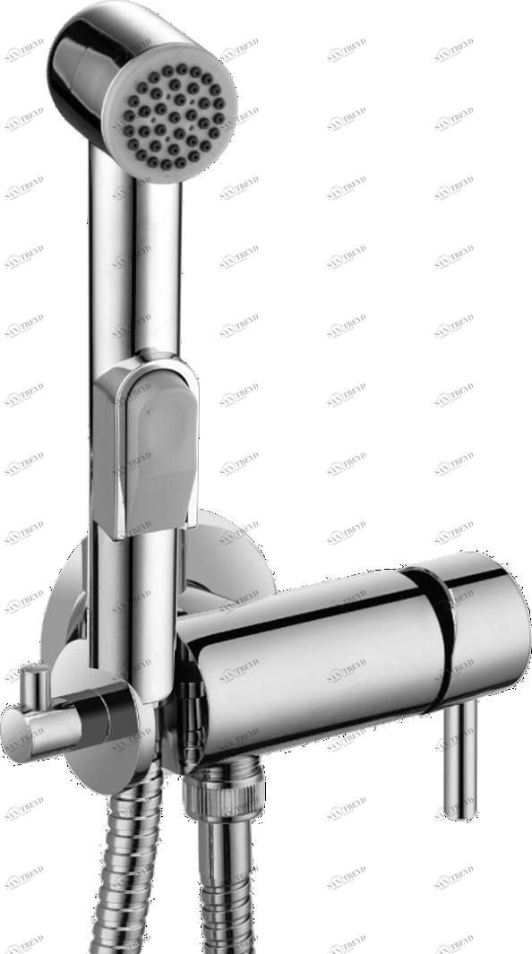 GZ 12402 Смеситель для биде Ganzer Хром Ganzer Германия 13948