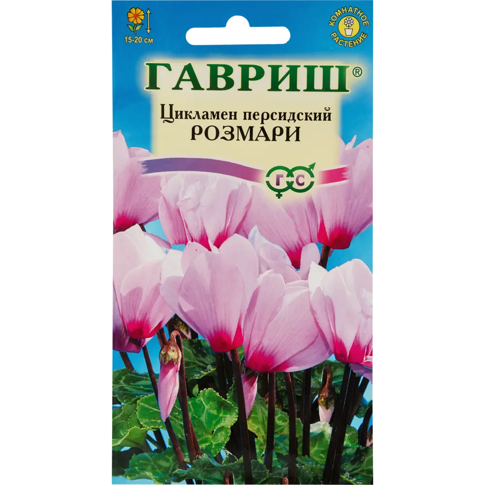 Цикламен персидский «Розмари», 3 шт ГАВРИШ STLM-2049503