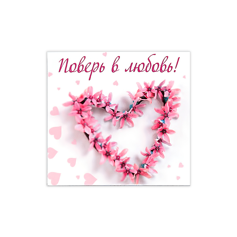 1244 Магнит ПВХ 8.5 x 5 см Поверь в Santreyd 