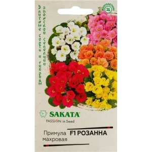Примула махровая «Розанна» смесь окрасок F1, 4 шт.