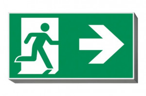 DST-480 Lisu Daisalux Светильники аварийные Металлический Серый