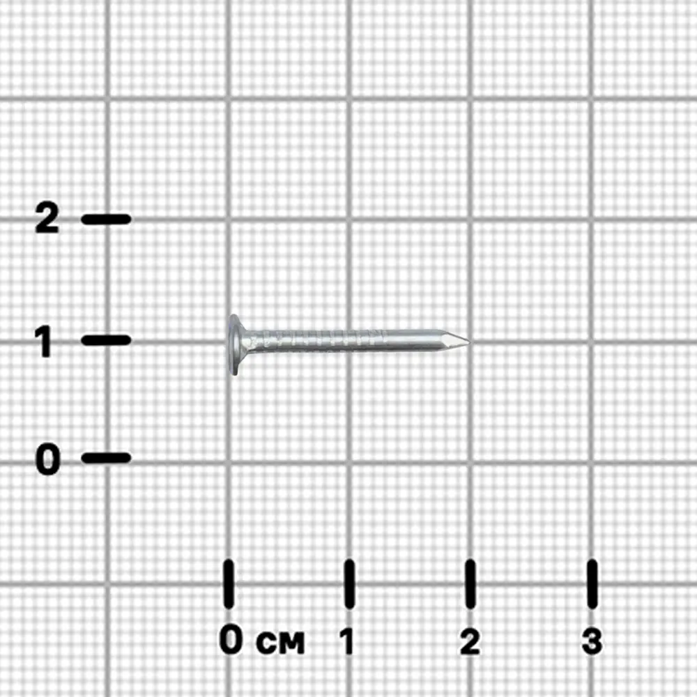 Гвозди толевые 2x20 мм 0.2 кг 89396688 STLM-2057090 Santreyd  - Вид №2