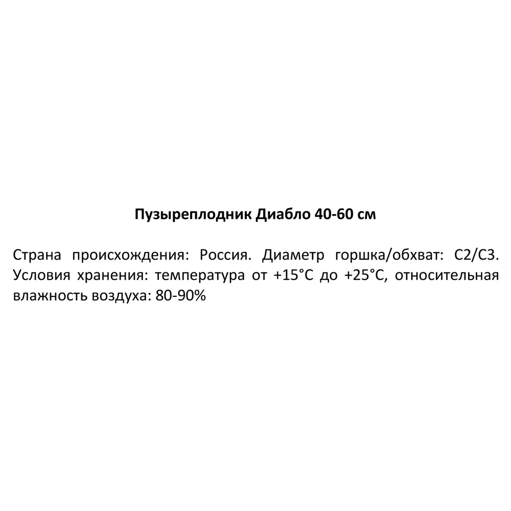 Пузыреплодник Диабло h40-60 см 85320145 STLM-2179749 Santreyd 