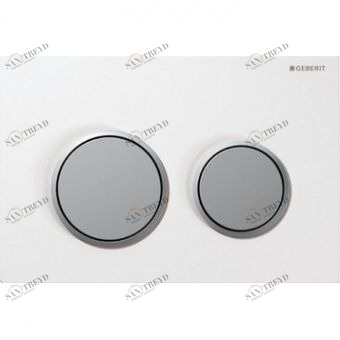 115.085.KL.1 смывная клавиша OMEGA20 (бел, хром мат, хром мат) Santreyd 