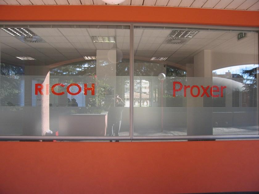 TOPFILM Декоративная клейкая оконная пленка против царапин Decoplus Decoplus  - Вид №13