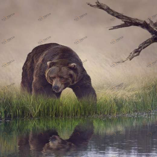 WP00834 Фотообои Verol Фотообои decoline 1х1 м