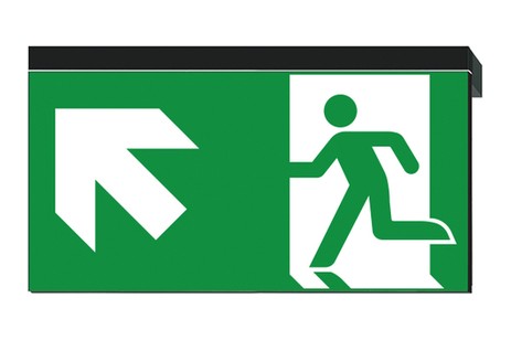 DST-1530 Ikus 320-p Daisalux Светильники сигнальные Черный 