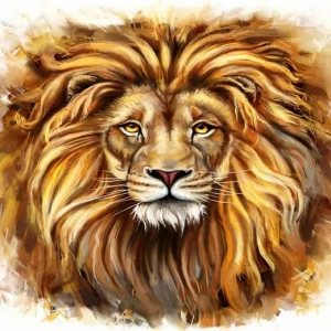 WP00353 Фотообои Verol Фотообои decoline 1х1 м