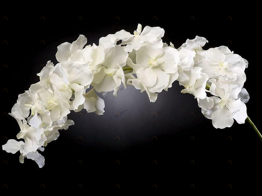 VGnewtrend Искусственное растение из полиэстера  1001625.95 