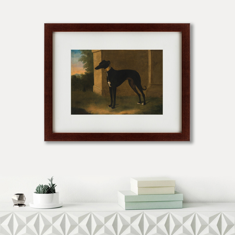 Картина: Portrait of a Greyhound called Pompon, 1746 КАРТИНЫ В КВАРТИРУ  135547 Разноцветный  - Вид №1