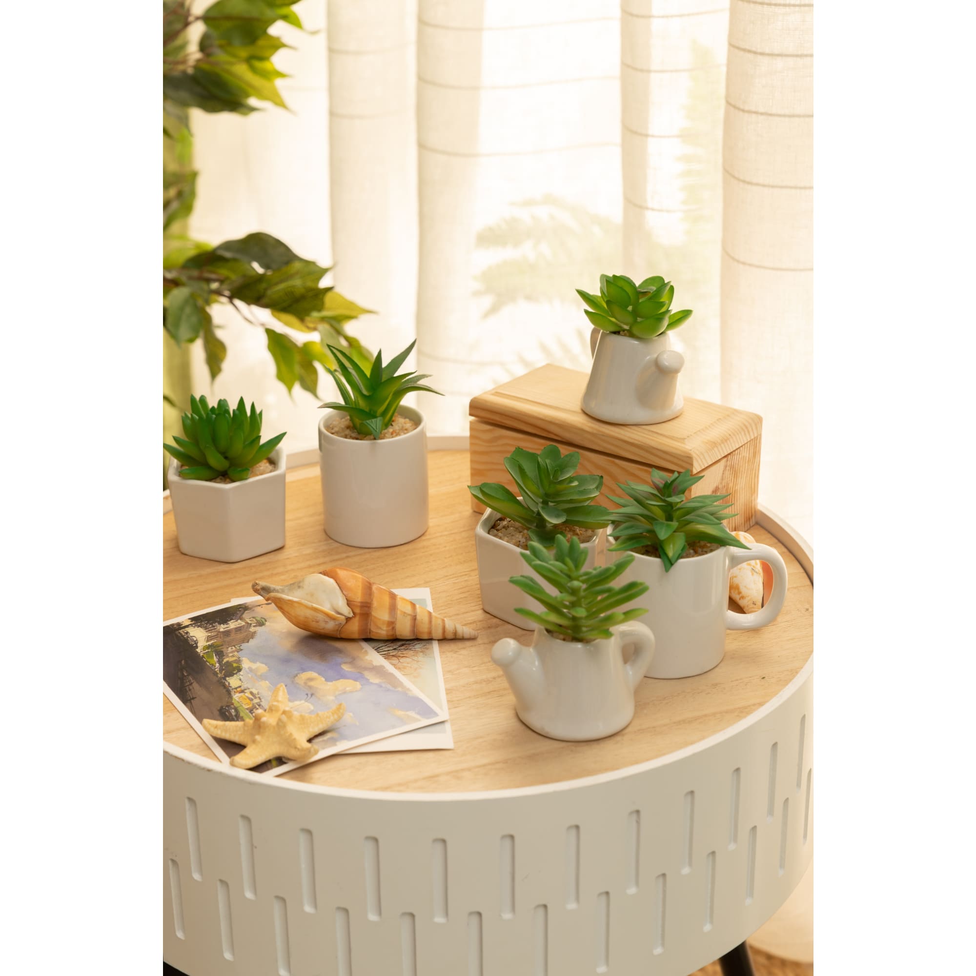 82877381 Суккулент микс 4 варианта 12x25 см Santreyd  - Вид №3