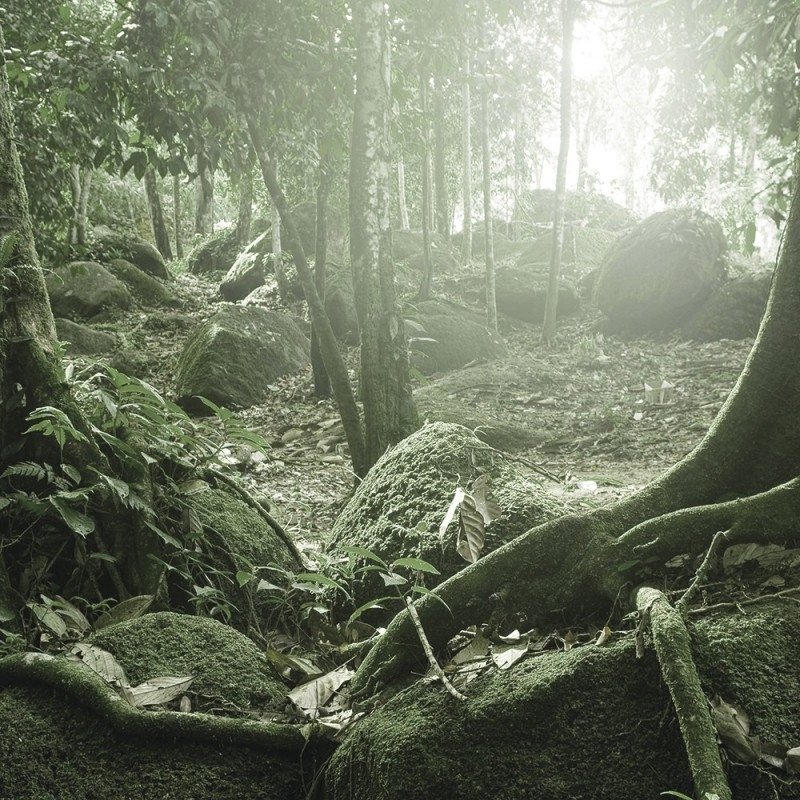 0794/CX38 Картина 0794 Adriani e Rossi  - Вид №3