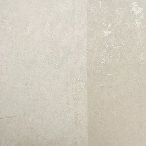 227351 Обои Rasch Tintura