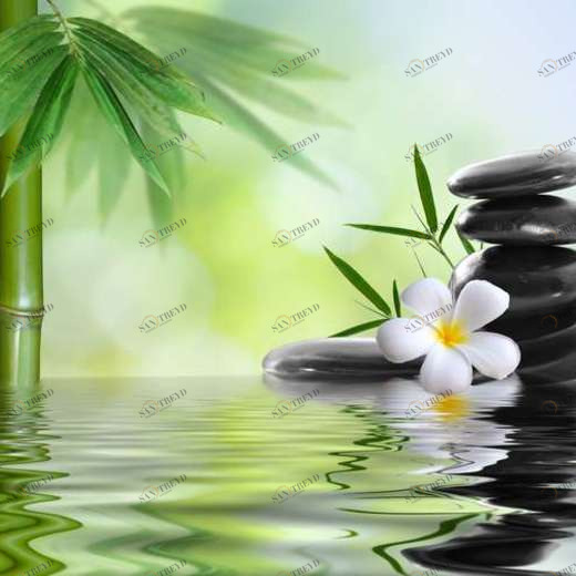 WP02628 Фотообои Verol Фотообои decoline 1х1 м