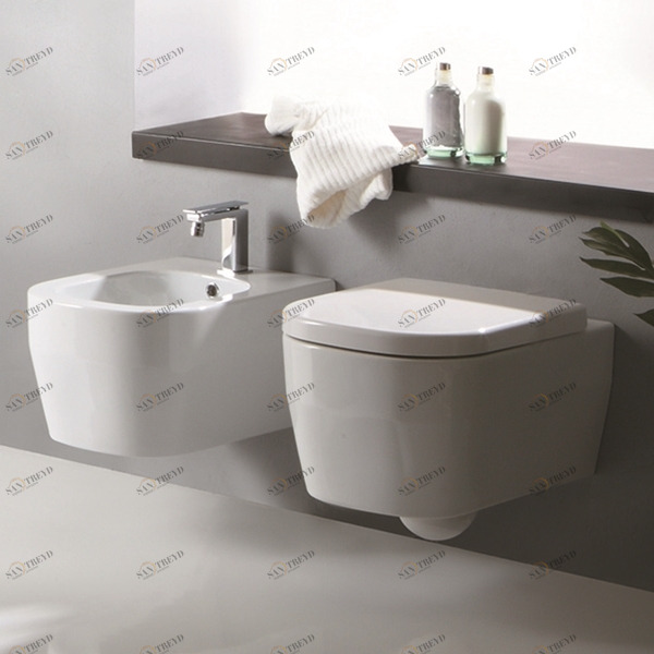 15TE Подвесной унитаз настенный Белый Olympia Ceramica TUTTO EVO Италия