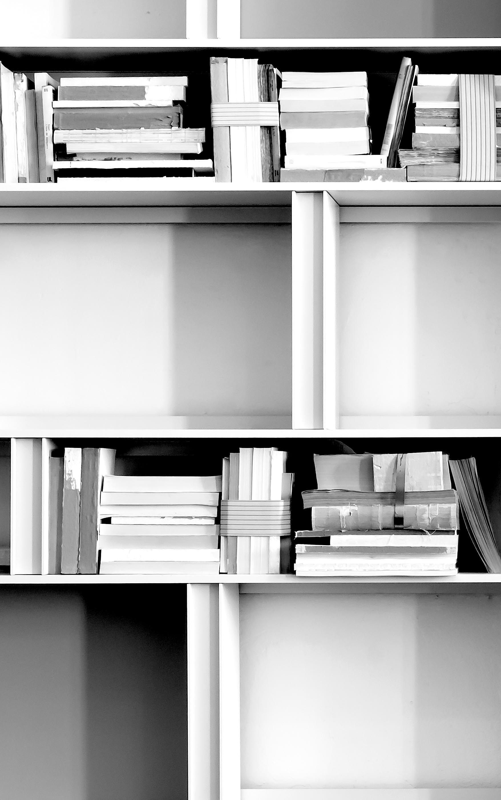 Секционная библиотека ALBED ARCH-00121644 - Вид №7