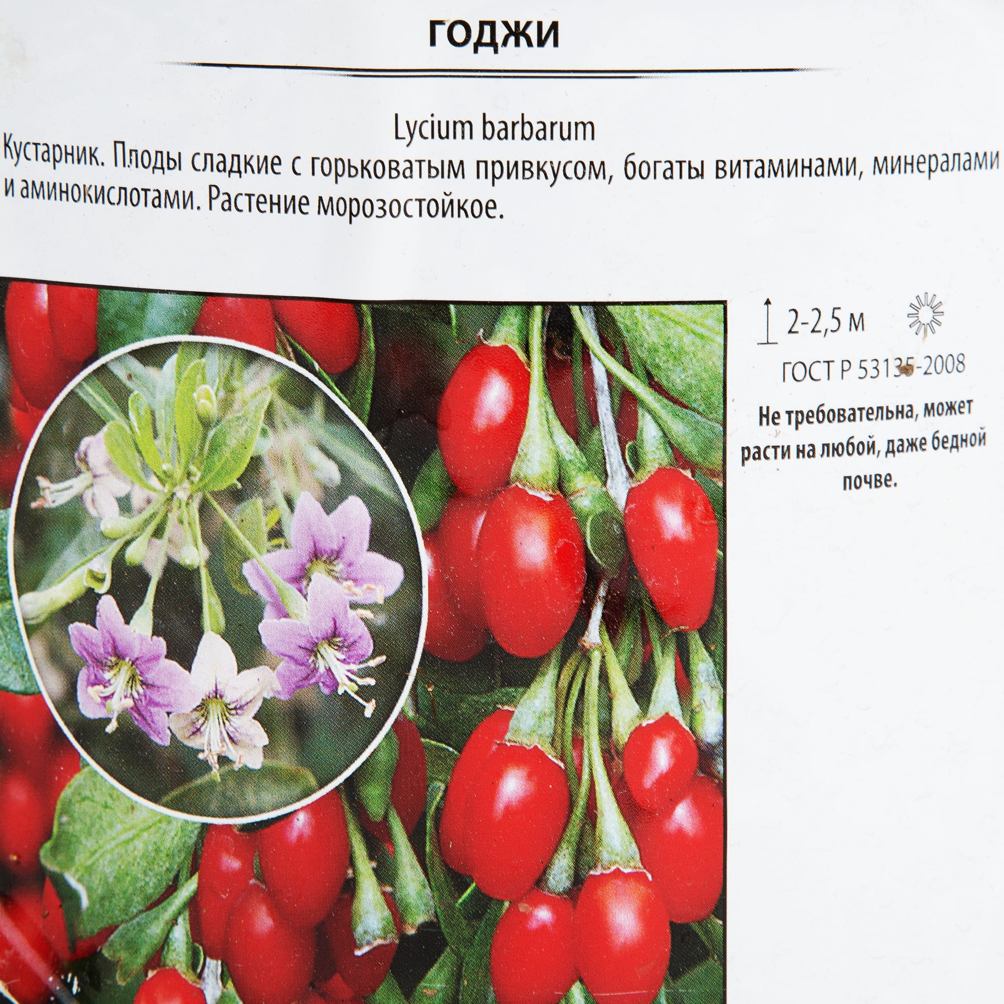 82219573 Годжи «Нью Биг» 2 л Santreyd  - Вид №1