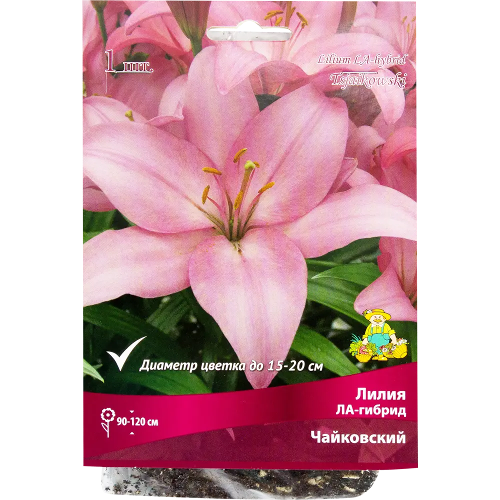 Лилия ЛА-гибрид «Чайковский», размер луковицы 14/16 82319580 STLM-2094498 Santreyd 