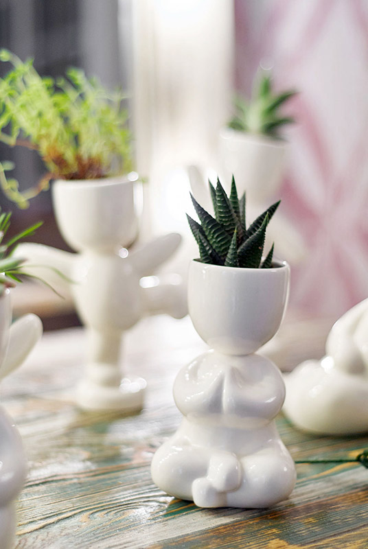 Набор для выращивания Eco Йог ЭКОЧЕЛОВЕКИ 1004 - Вид №2