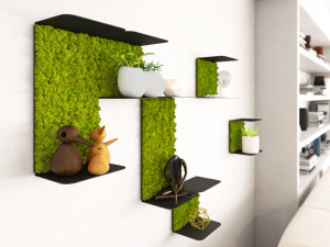 Звукопоглощающая полка из мха