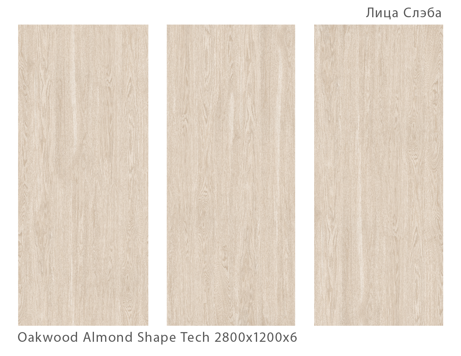 STAROSLABS MATT OAKWOOD ALMOND: Элегантность в каждом сантиметре STP-ST345 INCOLOR - Вид №1