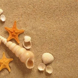 WP01456 Фотообои Verol Фотообои decoline 1х1 м