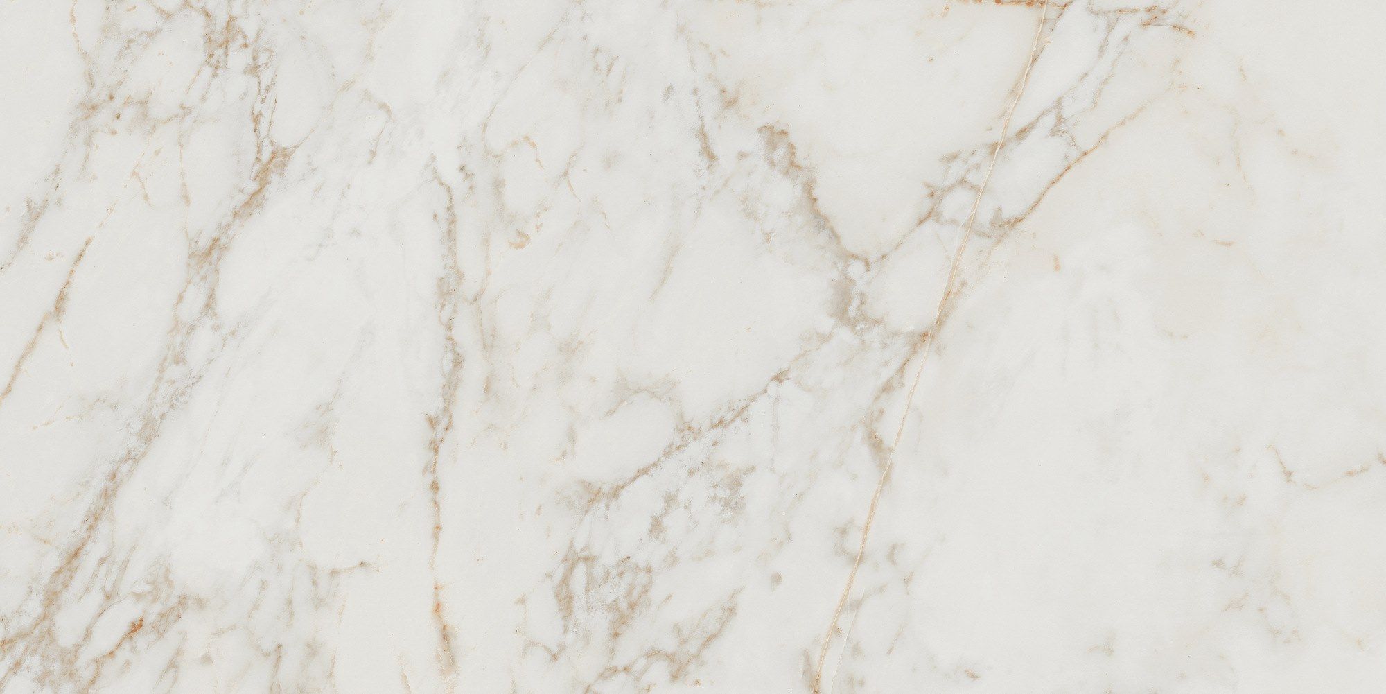 Пол / керамогранит с мраморным эффектом FAP ceramiche Roma Gold ARCH-00044009 - Вид №108