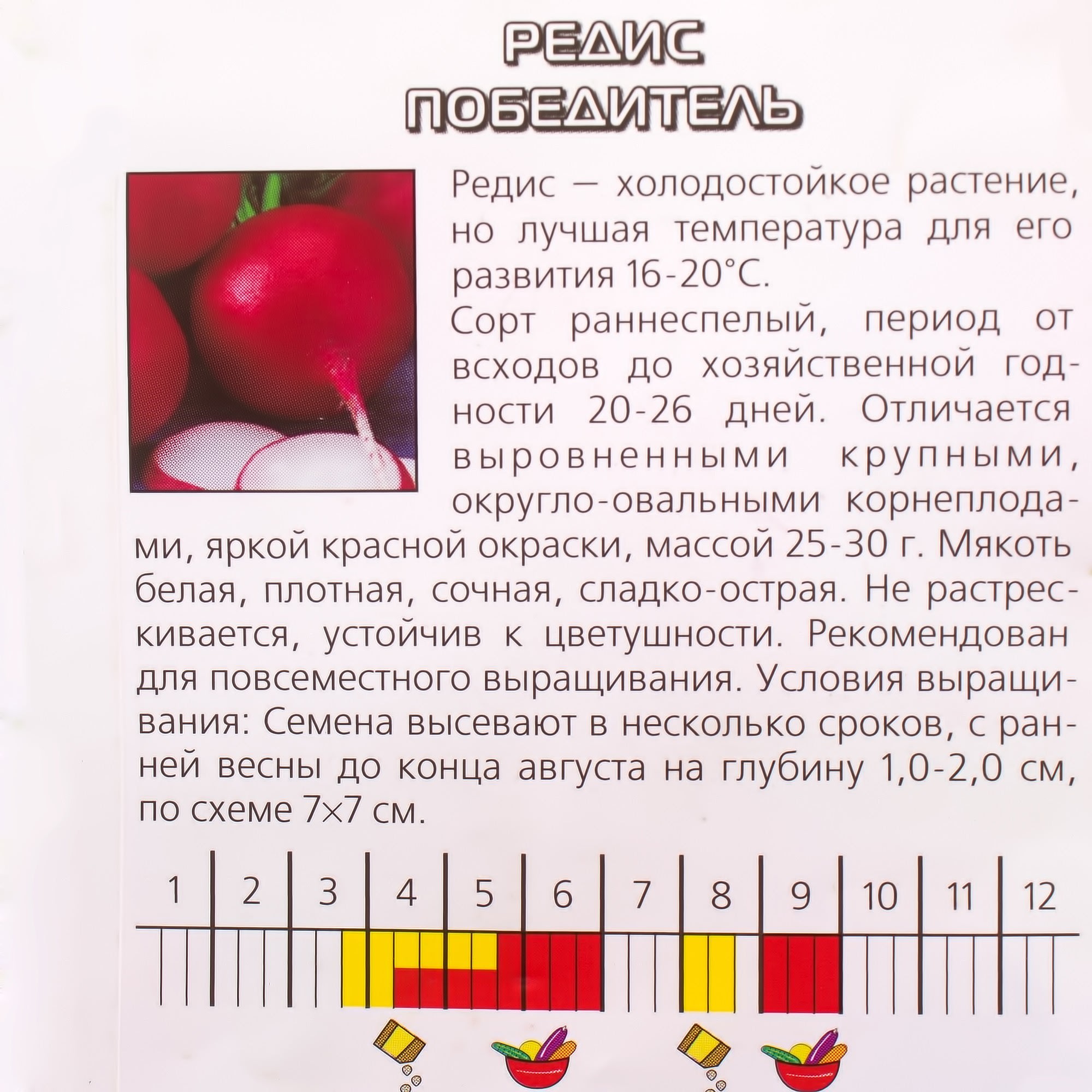 13067730 Семена Редис «Победитель» (Агрони) Santreyd  - Вид №2