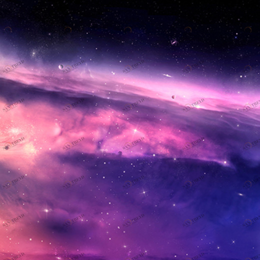 B1-080 Фотообои DIVINO Collection B 1.47х3 м B1080