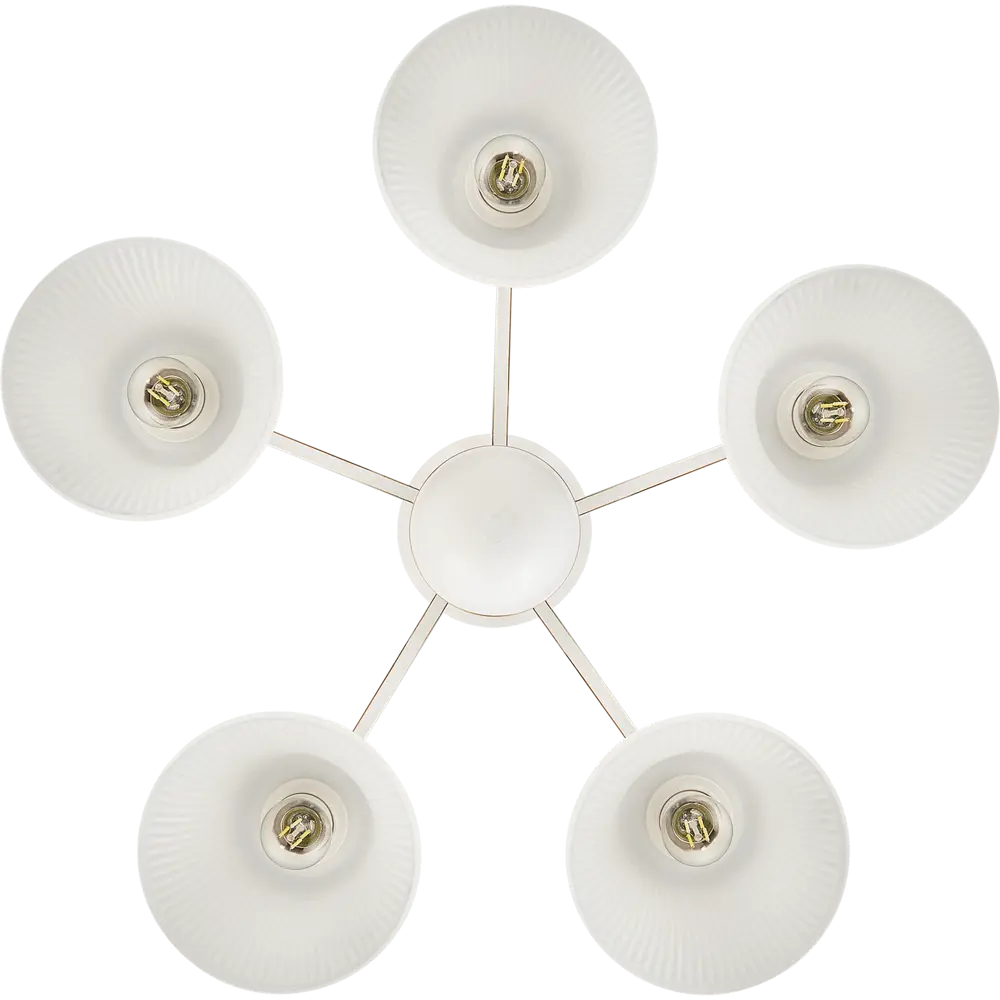 Потолочная люстра SCHAFFNER Biela - 5 ламп с матовыми стеклянными плафонами 87460831 STLM-0073917 - Вид №3