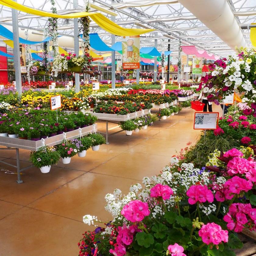 Isoplam Промышленный пол sun-id-1393884 - Вид №5