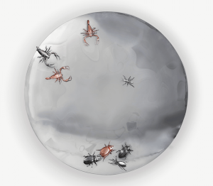 0-221 Вогнутое зеркало метаморфозы Boca Do Lobo