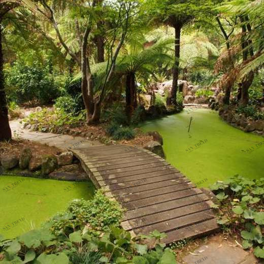 WP02257 Фотообои Verol Фотообои decoline 1х1 м