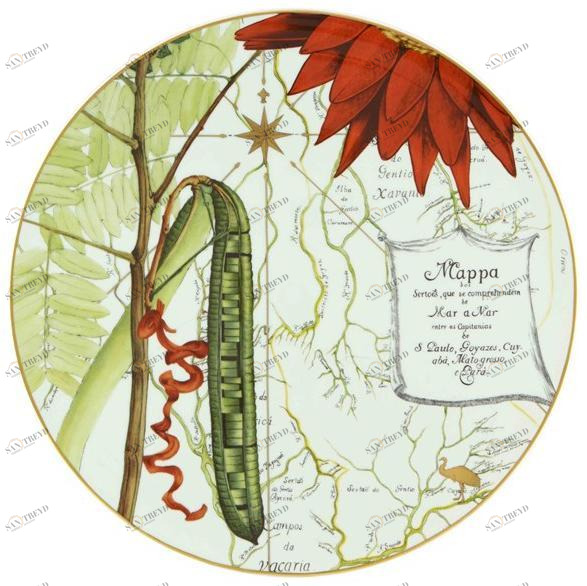 Vista Alegre Сервировочная тарелка из фарфора Amazónia 21133053 Amazonia