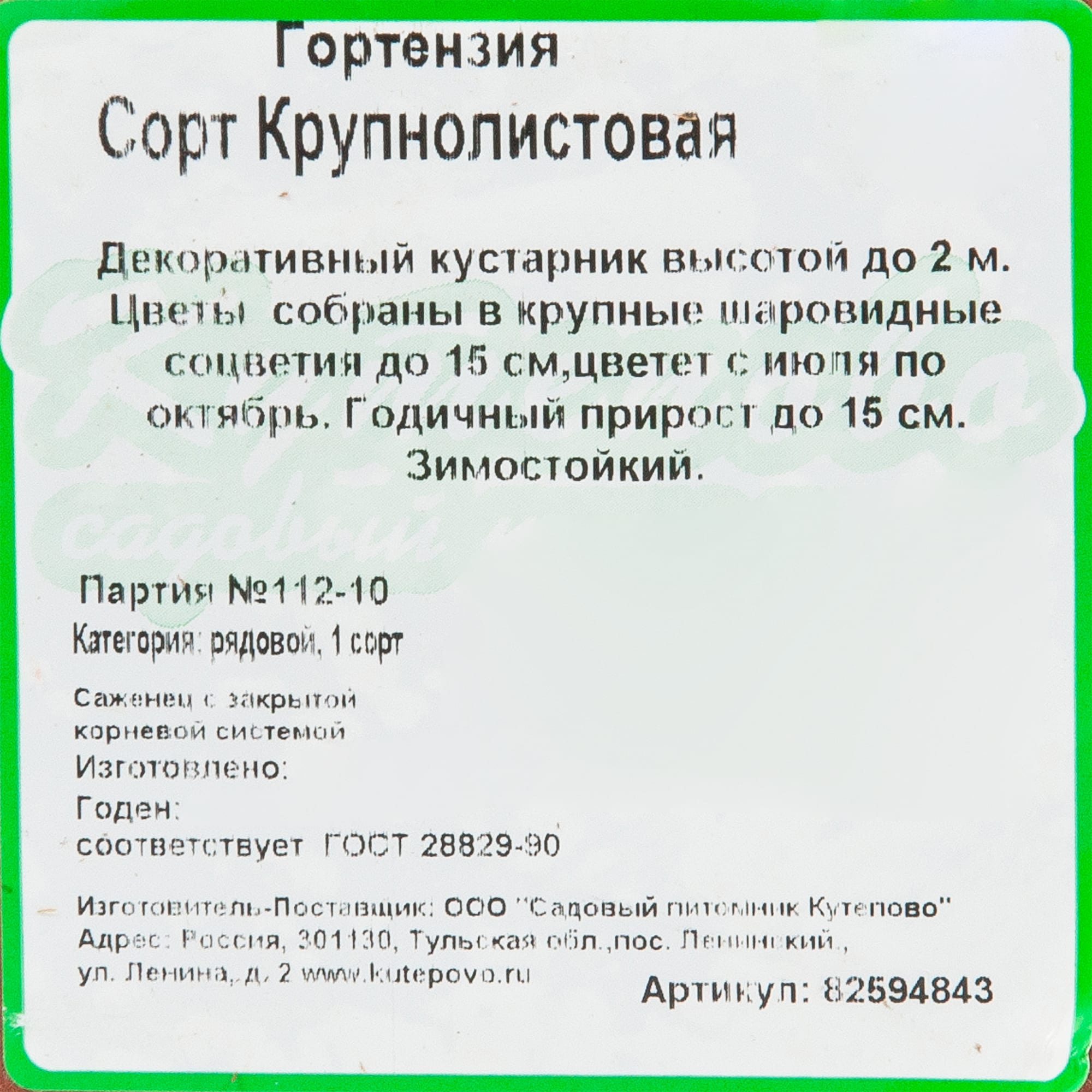 82594843 Гортензия крупнолистная 15x20 см Santreyd  - Вид №1