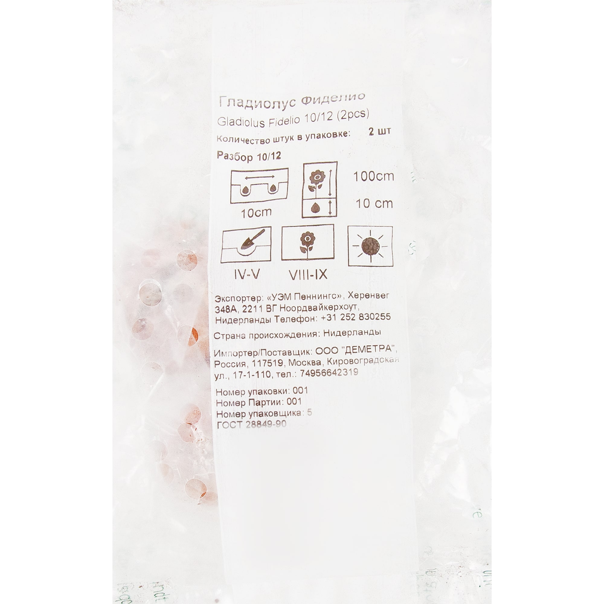 83760976 Гладиолус Фиделио луковица 10/12 Santreyd  - Вид №2