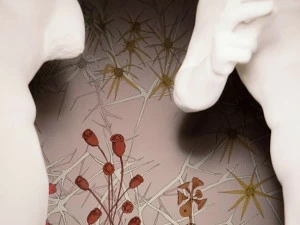 Wall&decò Огнеупорные экологические обои Contemporary wallpaper 2020 Wdnp200