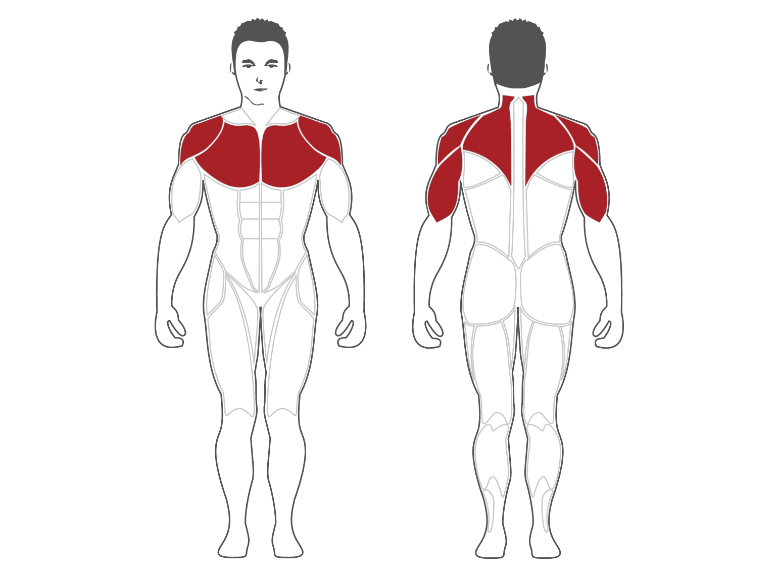 PL2100 Steel flex pl2100 жим от груди / жим плеч под углом Steel Flex  - Вид №2