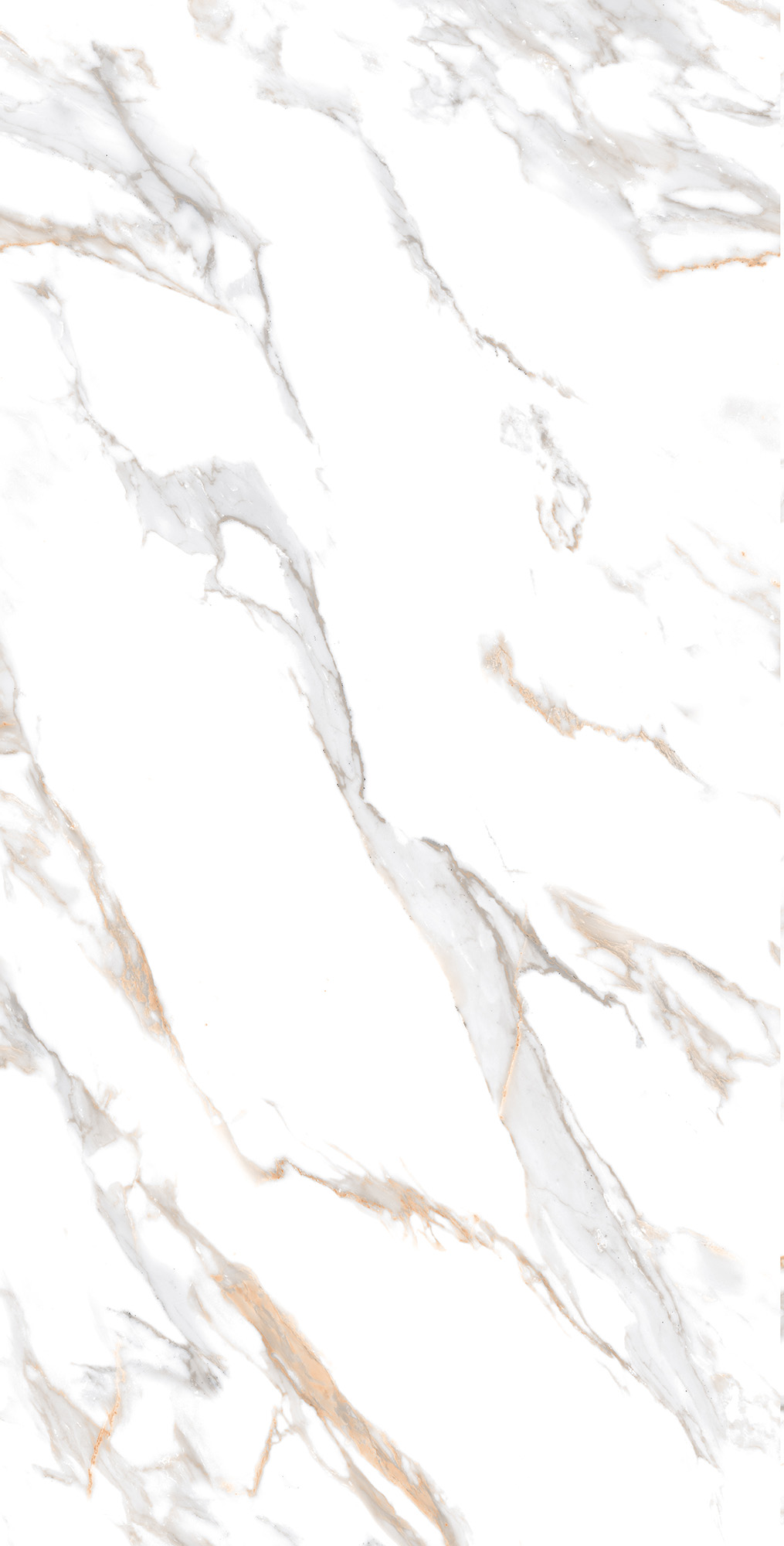 CALACATTA GOLD ARCADIA CERAMICA CR4019-A - Вид №6