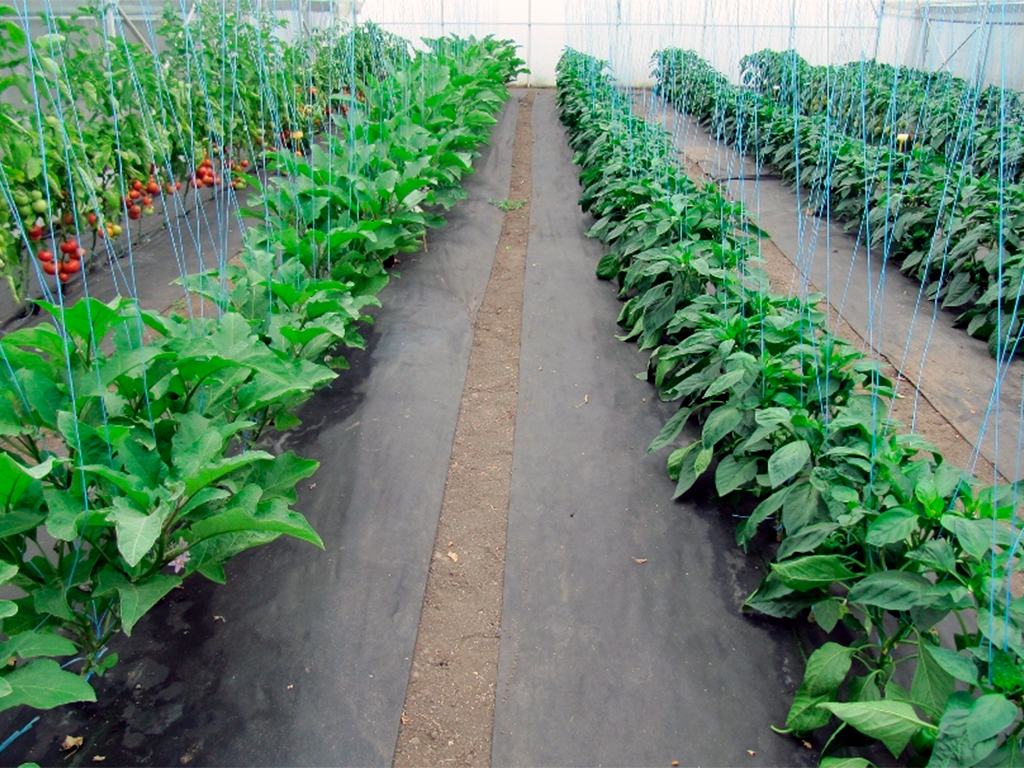 Геотекстиль 150 Строительный и садовый 1,6м x 25м ГеоПластБорд GPBST-108 - Вид №7