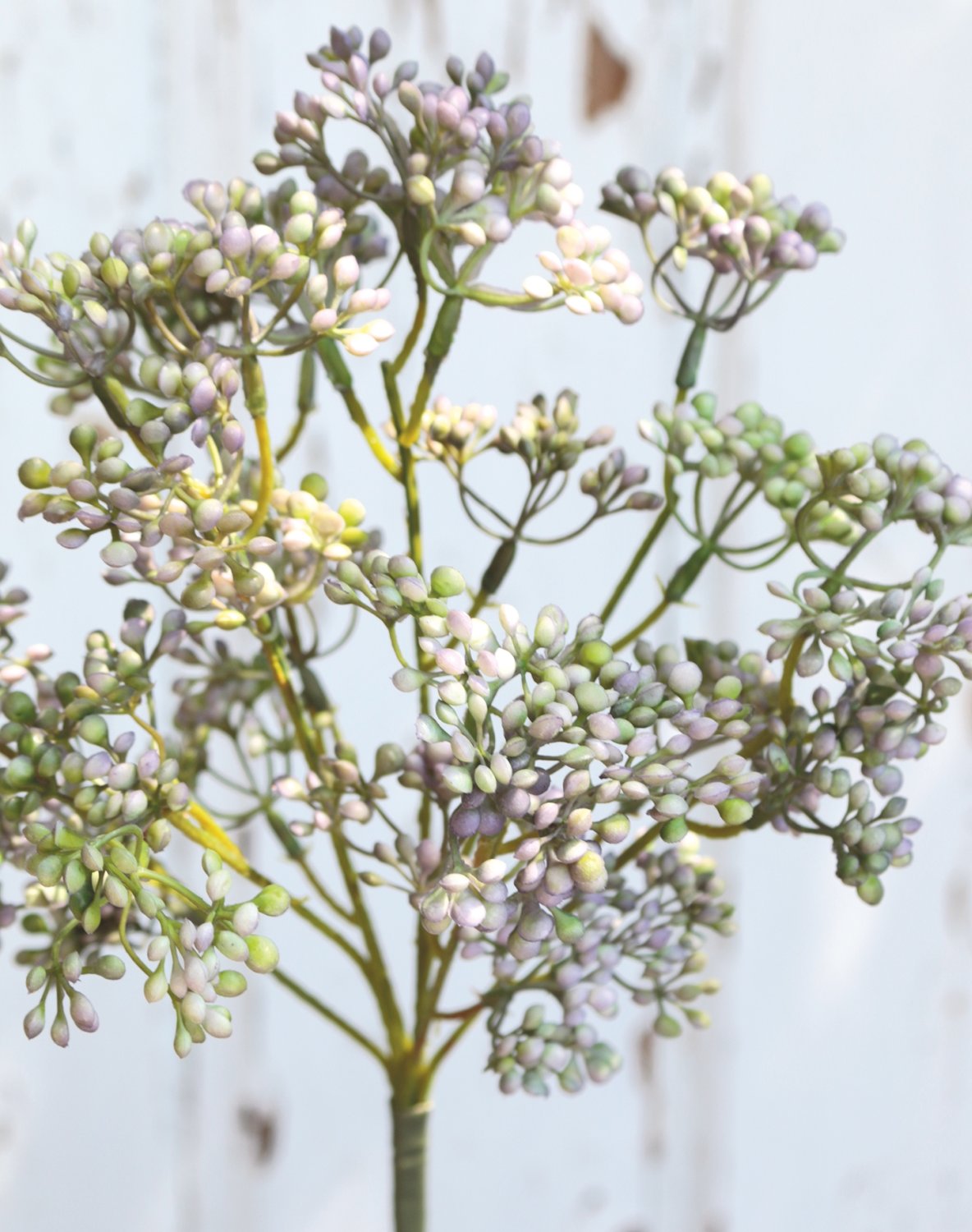 1924 802 a3 Стебель калины искусственный, 37 см, зелено-фиолетовый H-andreas  - Вид №1